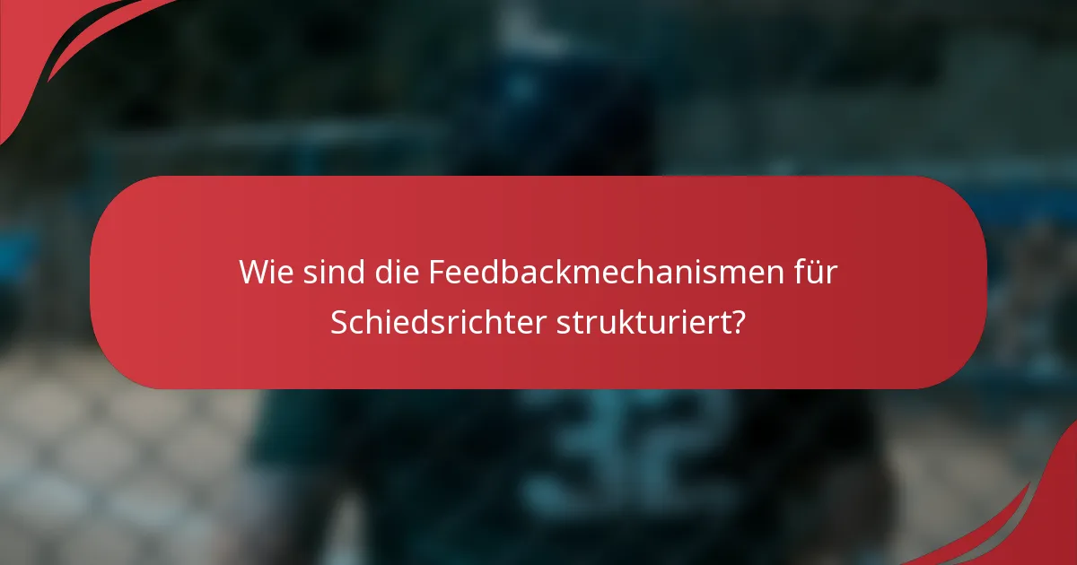 Wie sind die Feedbackmechanismen für Schiedsrichter strukturiert?